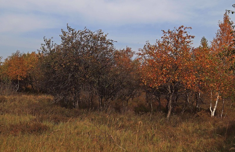 在承德昔日的皇家猎苑体验生活（三）