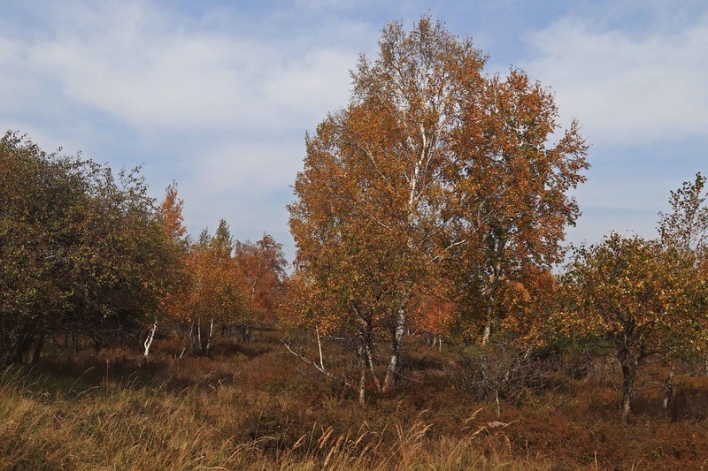 在承德昔日的皇家猎苑体验生活（三）