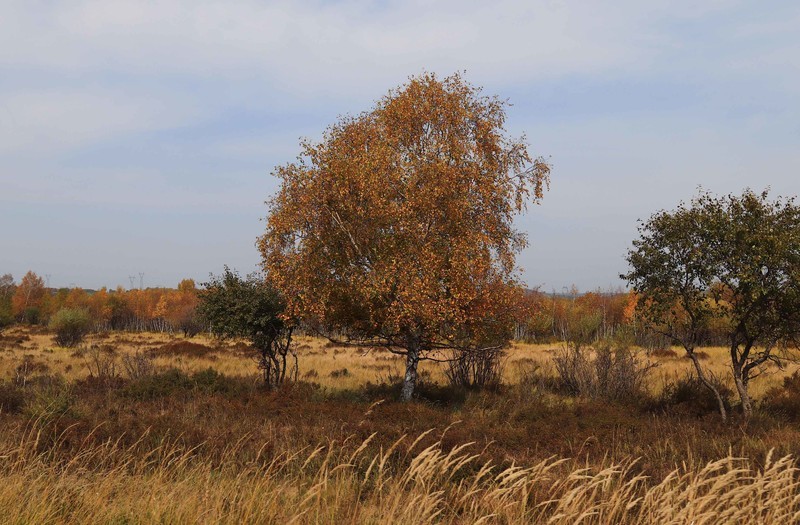 在承德昔日的皇家猎苑体验生活（三）