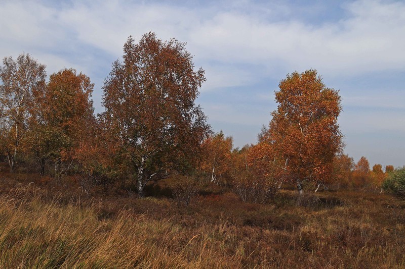 在承德昔日的皇家猎苑体验生活（三）