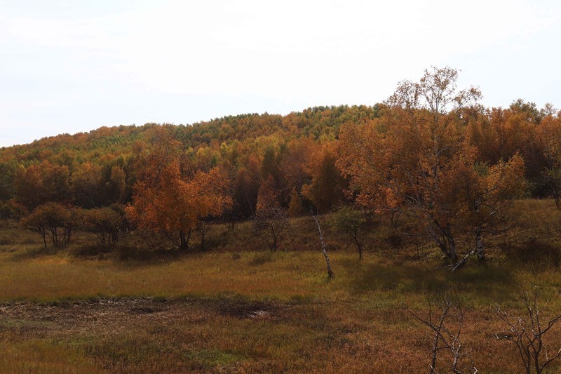 在承德昔日的皇家猎苑体验生活（三）