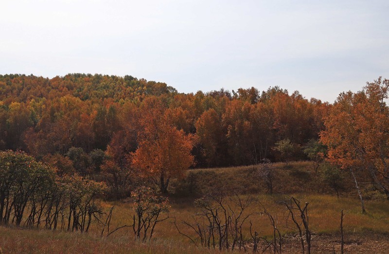 在承德昔日的皇家猎苑体验生活（三）