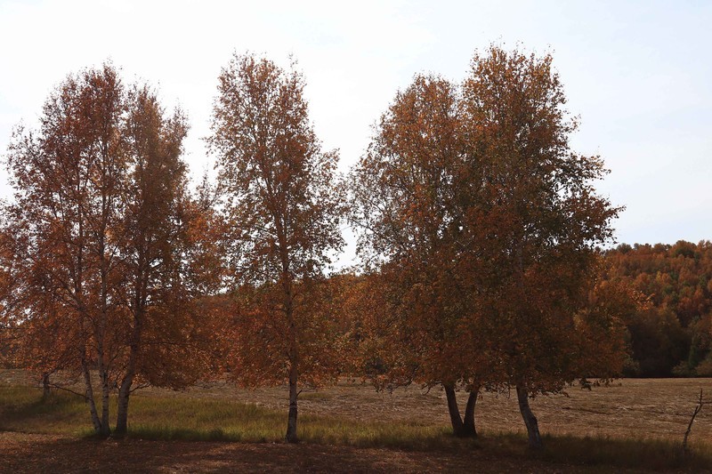 在承德昔日的皇家猎苑体验生活（三）