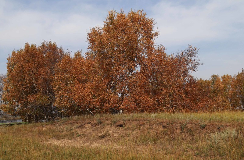 在承德昔日的皇家猎苑体验生活（三）