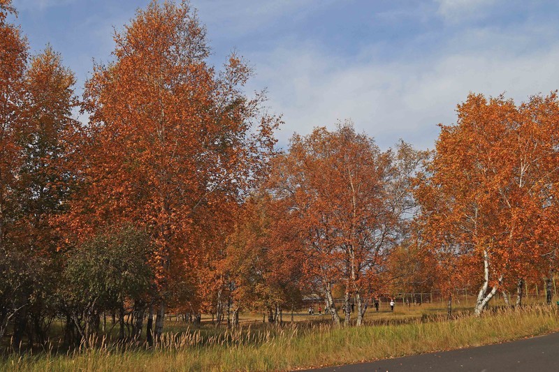 在承德昔日的皇家猎苑体验生活（三）