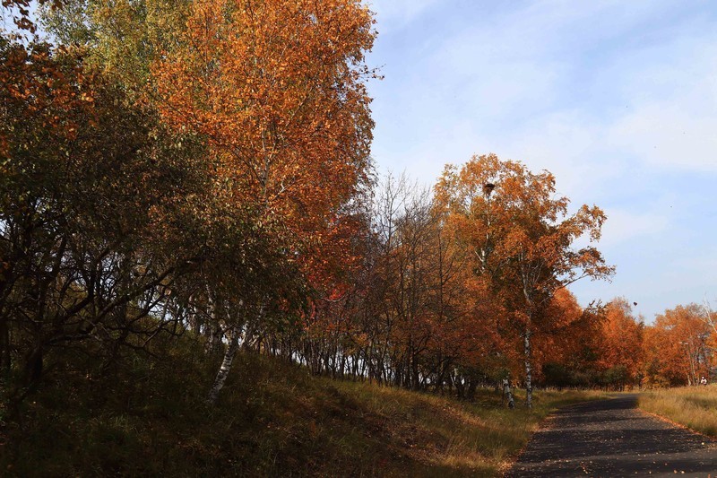 在承德昔日的皇家猎苑体验生活（三）