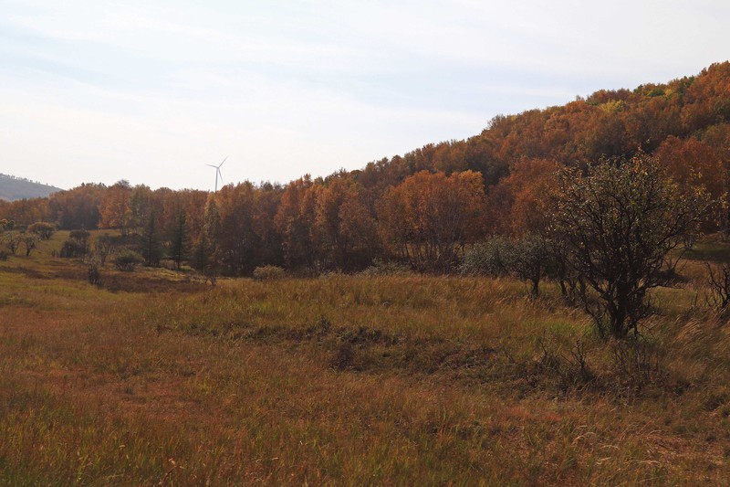 在承德昔日的皇家猎苑体验生活（二）