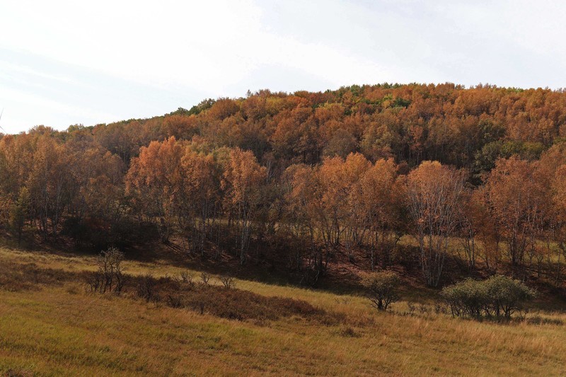 在承德昔日的皇家猎苑体验生活（二）