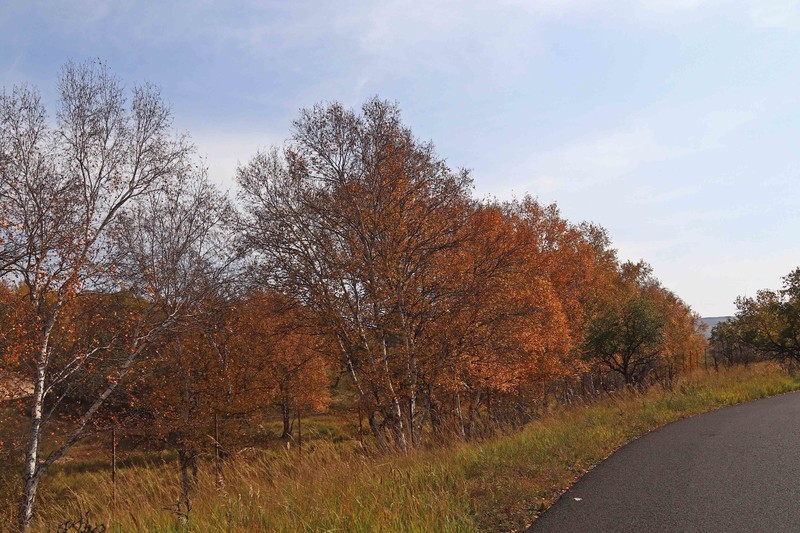 在承德昔日的皇家猎苑体验生活（二）