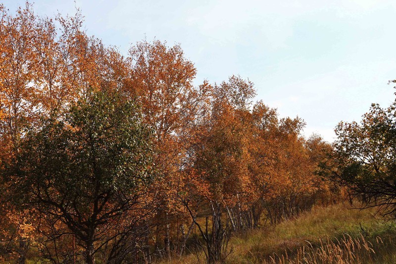 在承德昔日的皇家猎苑体验生活（二）