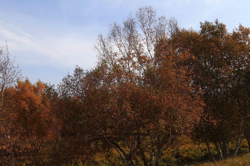 在承德昔日的皇家猎苑体验生活（二）