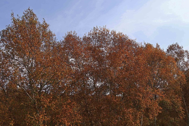 在承德昔日的皇家猎苑体验生活（二）