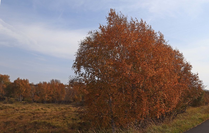 在承德昔日的皇家猎苑体验生活（二）