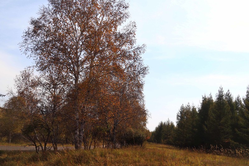 在承德昔日的皇家猎苑体验生活（二）