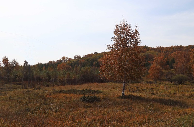 在承德昔日的皇家猎苑体验生活（三）