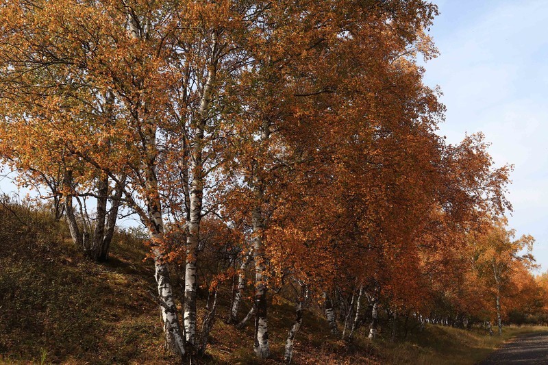 在承德昔日的皇家猎苑体验生活（三）