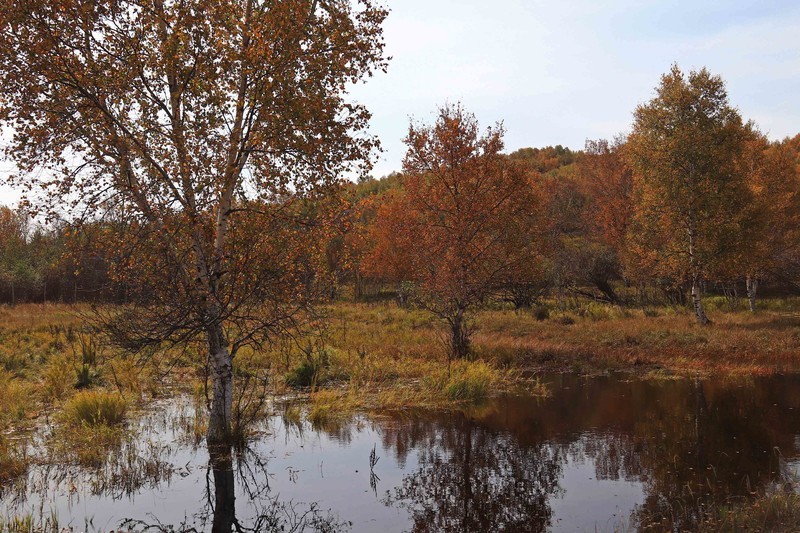 在承德昔日的皇家猎苑体验生活（三）