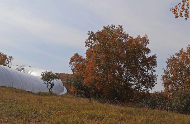 在承德昔日的皇家猎苑体验生活（二）