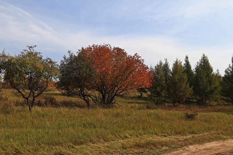 在承德昔日的皇家猎苑体验生活（二）