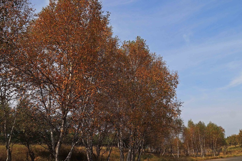 在承德昔日的皇家猎苑体验生活（二）
