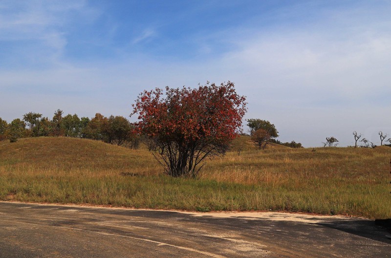 在承德昔日的皇家猎苑体验生活（二）
