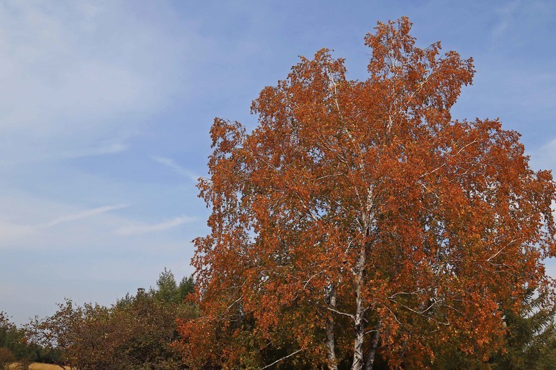 在承德昔日的皇家猎苑体验生活（三）