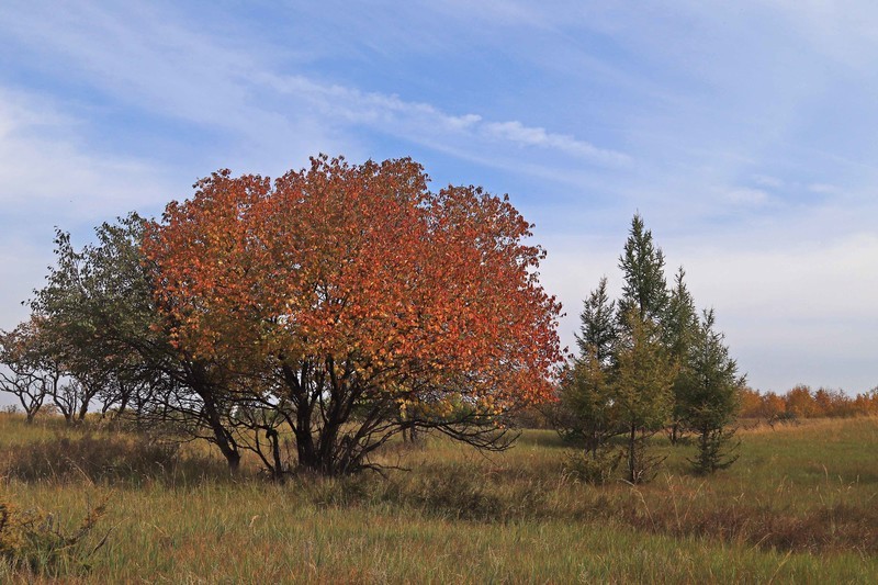 在承德昔日的皇家猎苑体验生活（三）