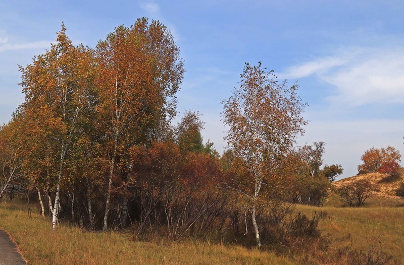 在承德昔日的皇家猎苑体验生活（三）