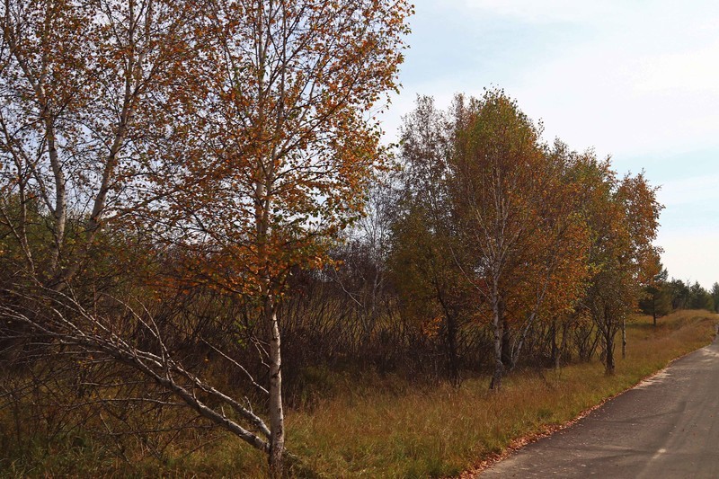 在承德昔日的皇家猎苑体验生活（三）