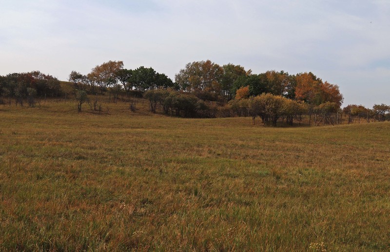 在承德昔日的皇家猎苑体验生活（三）