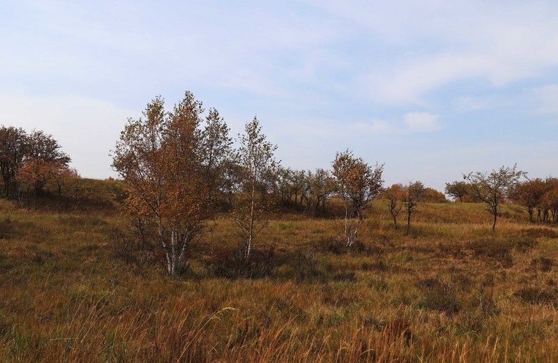 在承德昔日的皇家猎苑体验生活（三）