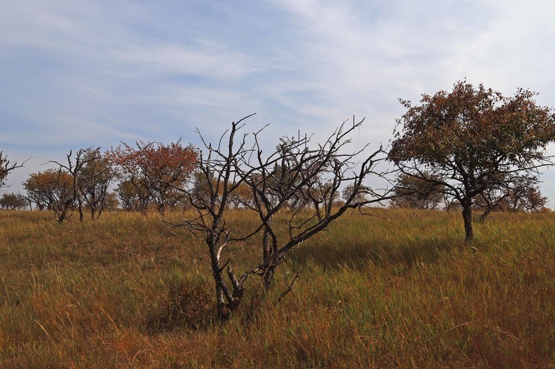 在承德昔日的皇家猎苑体验生活（三）