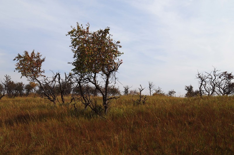 在承德昔日的皇家猎苑体验生活（三）