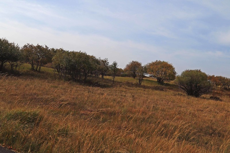 在承德昔日的皇家猎苑体验生活（三）