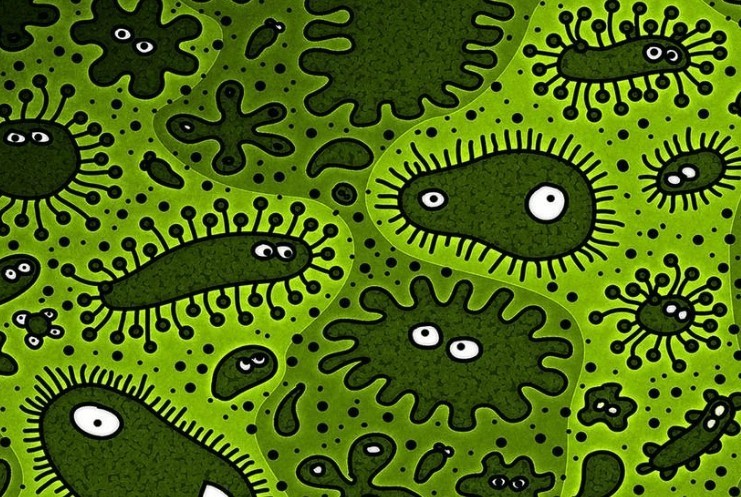 内衣内裤洗衣机排名前十名：内衣洗衣机十大品牌排行榜测评剖析