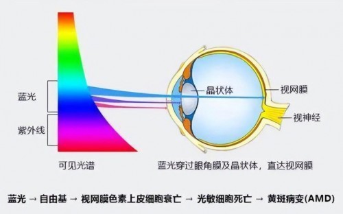 小学生用什么台灯护眼效果好？2025教室护眼照明品牌排行榜大公开！
