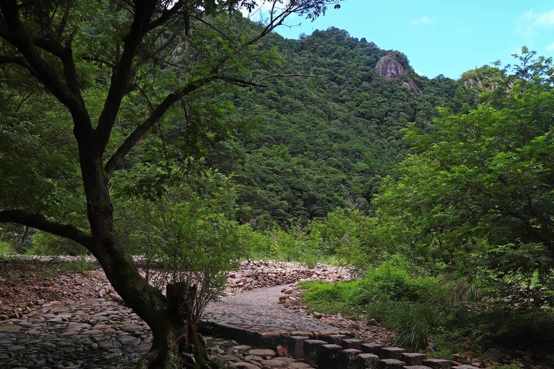游览浙江永嘉丽水街（二）