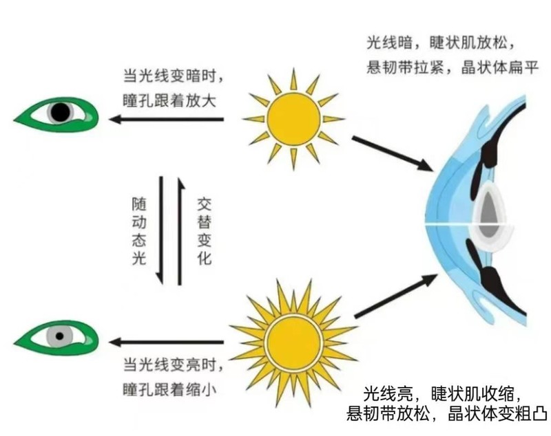 现代风格大厅落地式台灯哪款好？五款好用护眼落地式台灯推荐