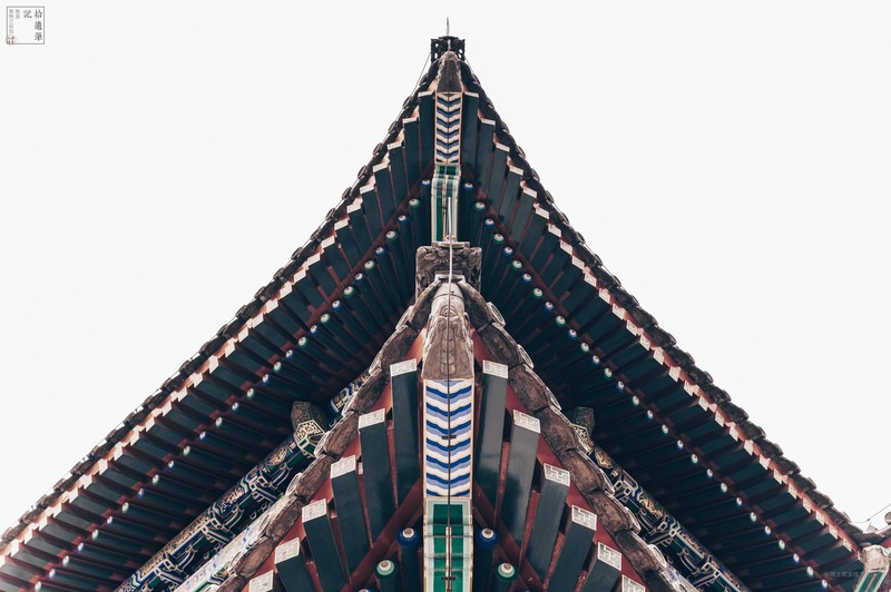 #尼康Z8# 用尼康——记录生活中的美好瞬间