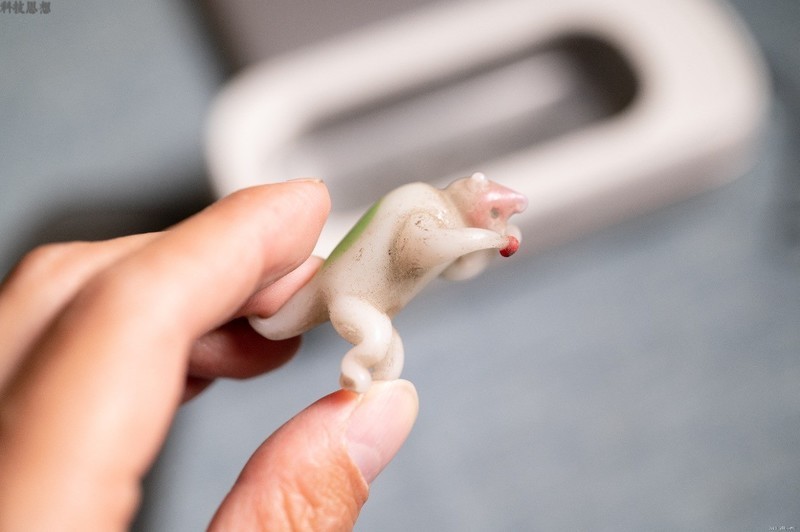 顽固污渍一键去除，还有紫外线除菌功能，希亦超声波清洗机体验