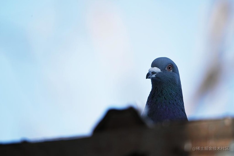 #尼康Z8# 用尼康——记录生活中的美好瞬间