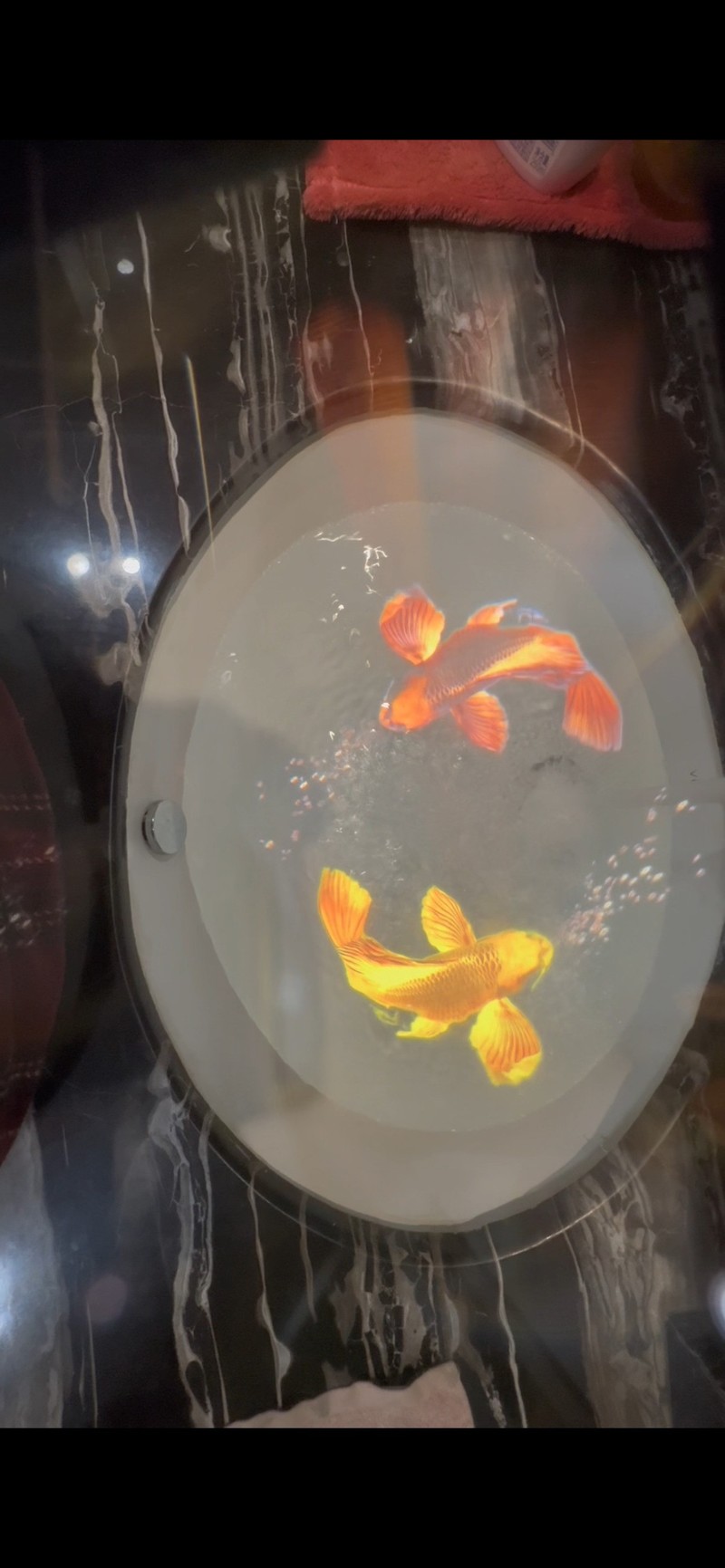 空中成象,小米手机屏幕,实现了，手机新功能，AR效果应用场景发布