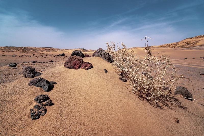 高画质+人性化设计！感受唯卓仕AF 16mm F1.8 FE超广角镜头的魅力