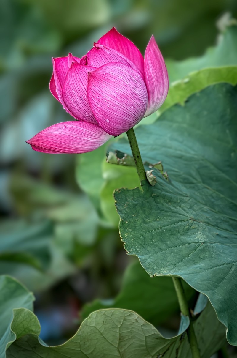 曲靖 · 麒麟水乡（3）