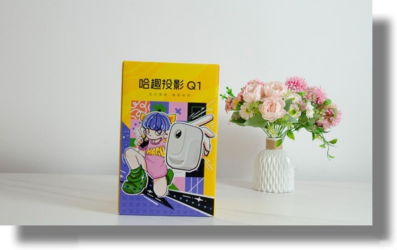 租房5㎡秒变私人影院！哈趣Q1实测：千元内还有对手？