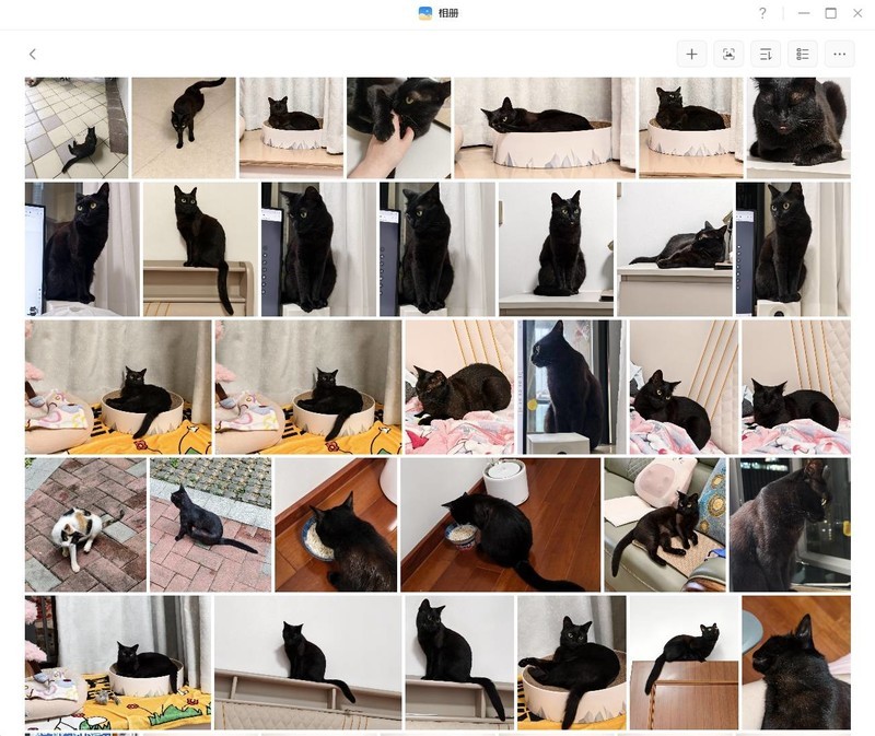 数码小白也能玩转NAS，绿联DH4300 Plus巨好用！