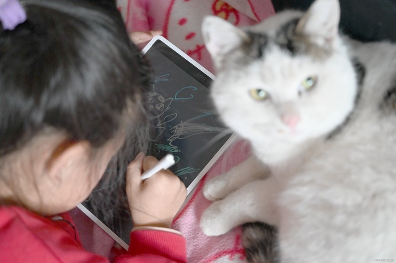 好玩有趣彩色小画板，小朋友的好玩伴，米家液晶小黑板多彩版体验