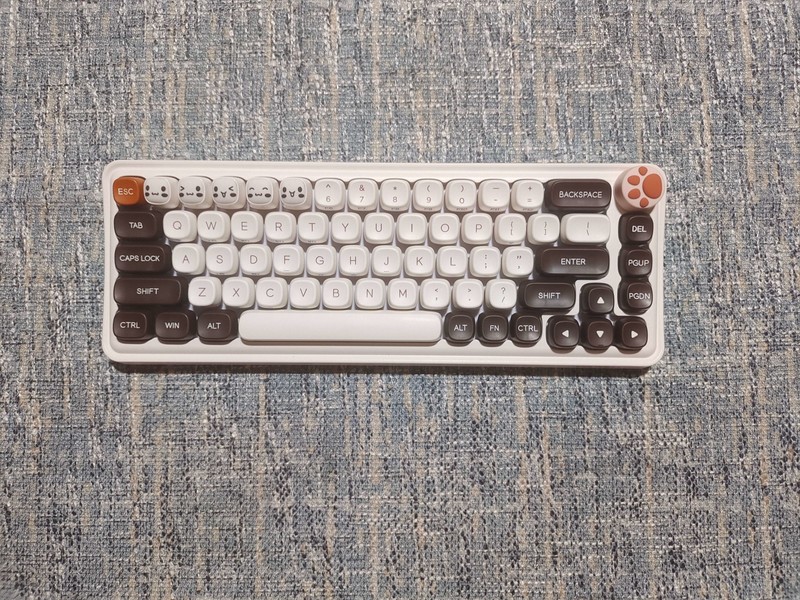 安安静静的可爱妹子，达尔优小方糖键盘实测