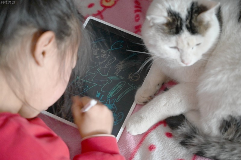 好玩有趣彩色小画板，小朋友的好玩伴，米家液晶小黑板多彩版体验