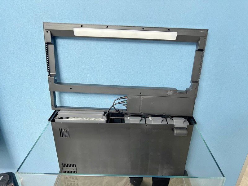 搬进新家，迷上了养鱼，新手小白入手当贝智能鱼缸小记